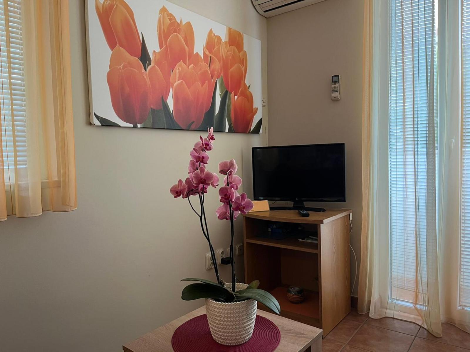 Family Apartments Suzi Ρόβινι Εξωτερικό φωτογραφία